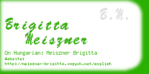 brigitta meiszner business card